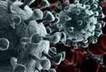 India has over 60L Covid cases