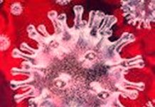 COVID 19: India’s steady trend of Very High Recoveries continues